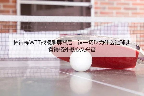 林诗栋WTT战报刷屏背后：这一场球为什么让球迷看得格外揪心又兴奋